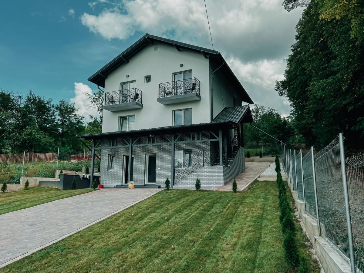 Casa Dumitru 2 Otel Valea Borului Dış mekan fotoğraf